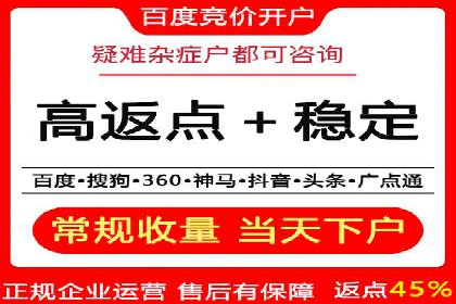 成功案例：SEM托管代运营助力业务增长